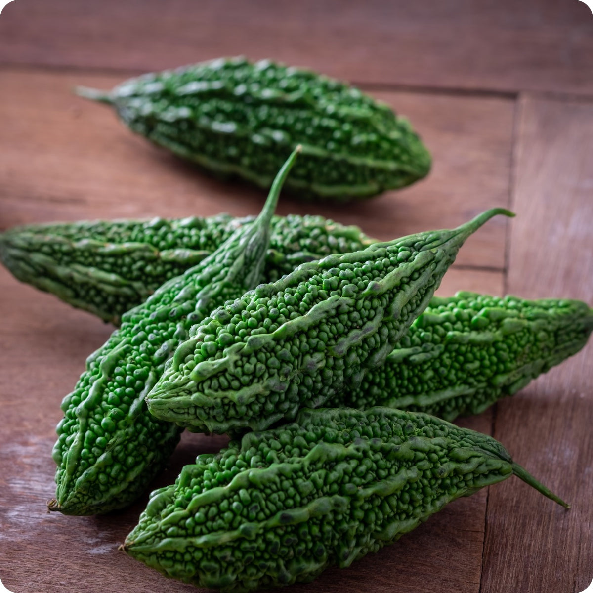 Bitter Melon Seeds - Futo Spindle – The Incredible Seed Company Ltd