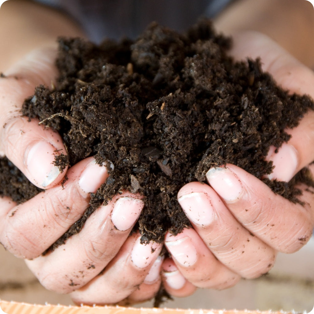 The Incredible Seed Guide to Backyard Composting