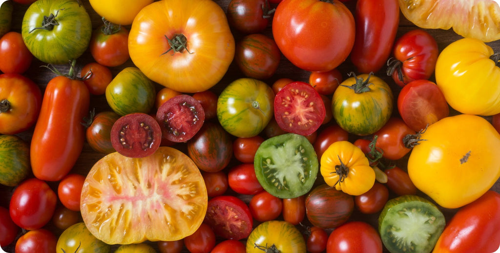How to Grow Incredible Tomatoes 