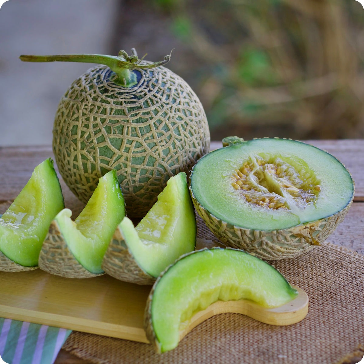Green Nutmeg Melon Seeds Heirloom Untreated NONGMO From Canada The Incredible Seed Company Ltd