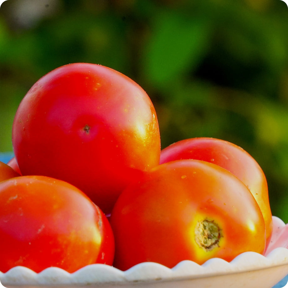 Tomato Seeds - Glacier