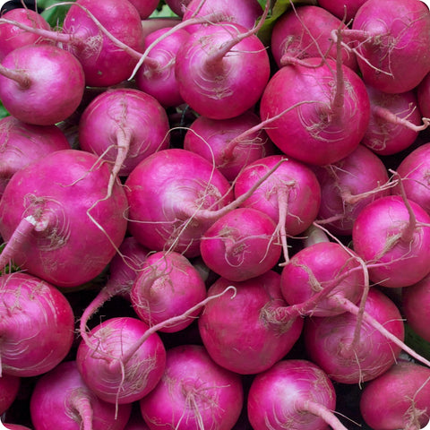 Scarlet Ohno Revival Turnip Seeds