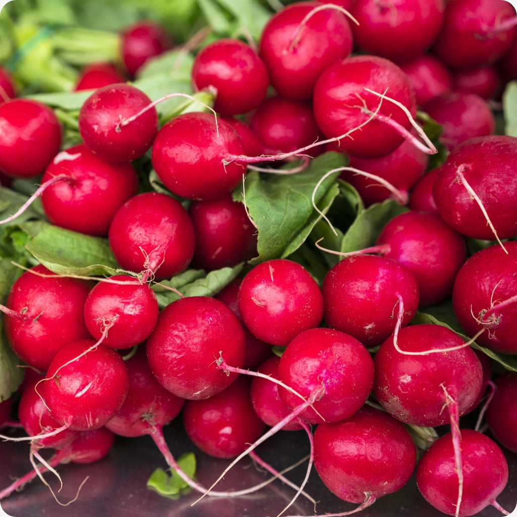 Radishes – The Incredible Seed Company Ltd