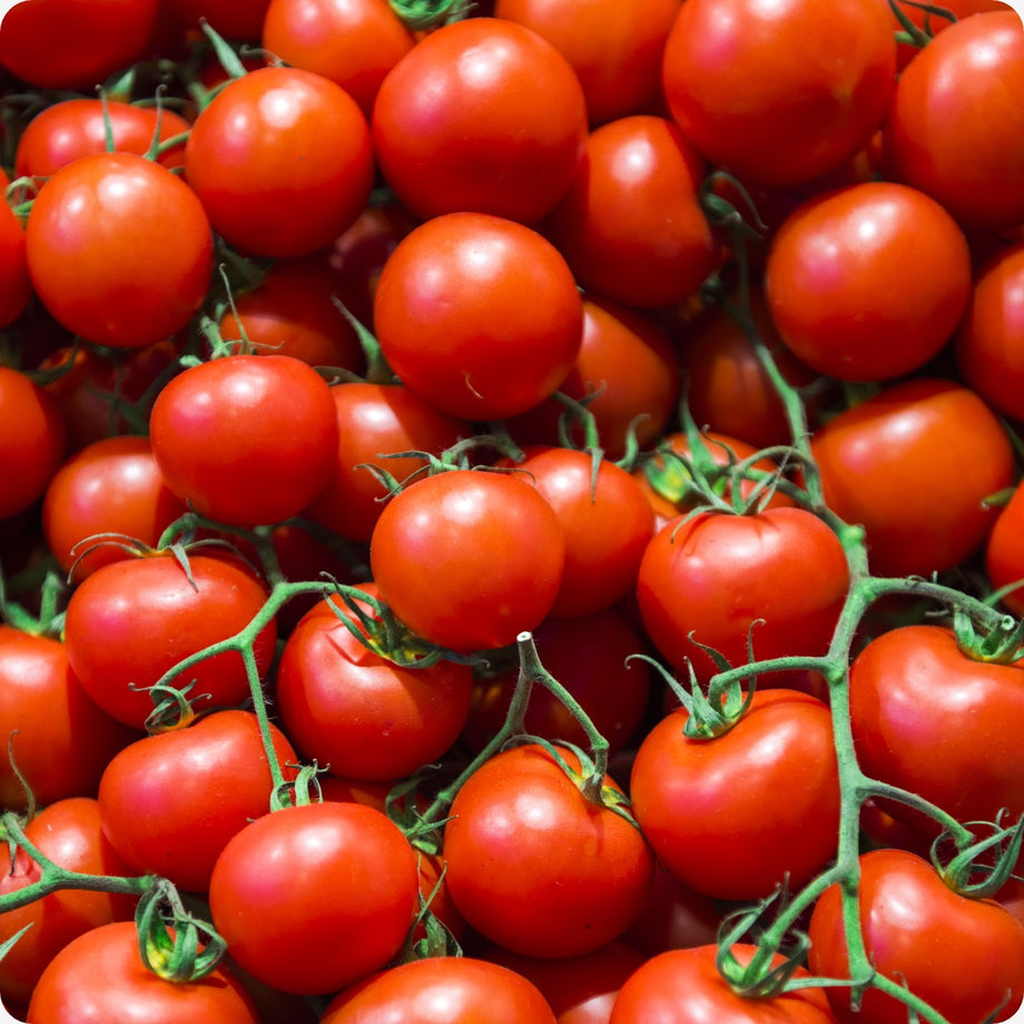 Heirloom Heritage Tomato Seeds Available from a Canadian Seed