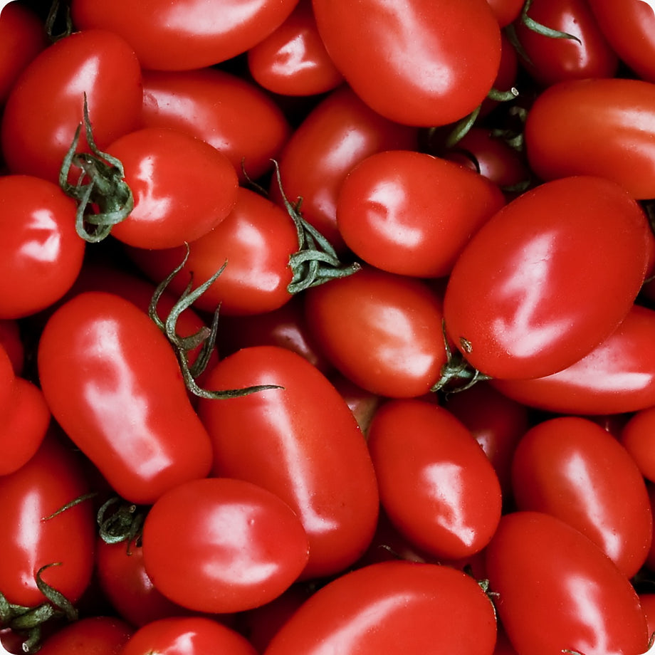 Heritage Cherry Tomato Seeds Available from a Canadian Seed
