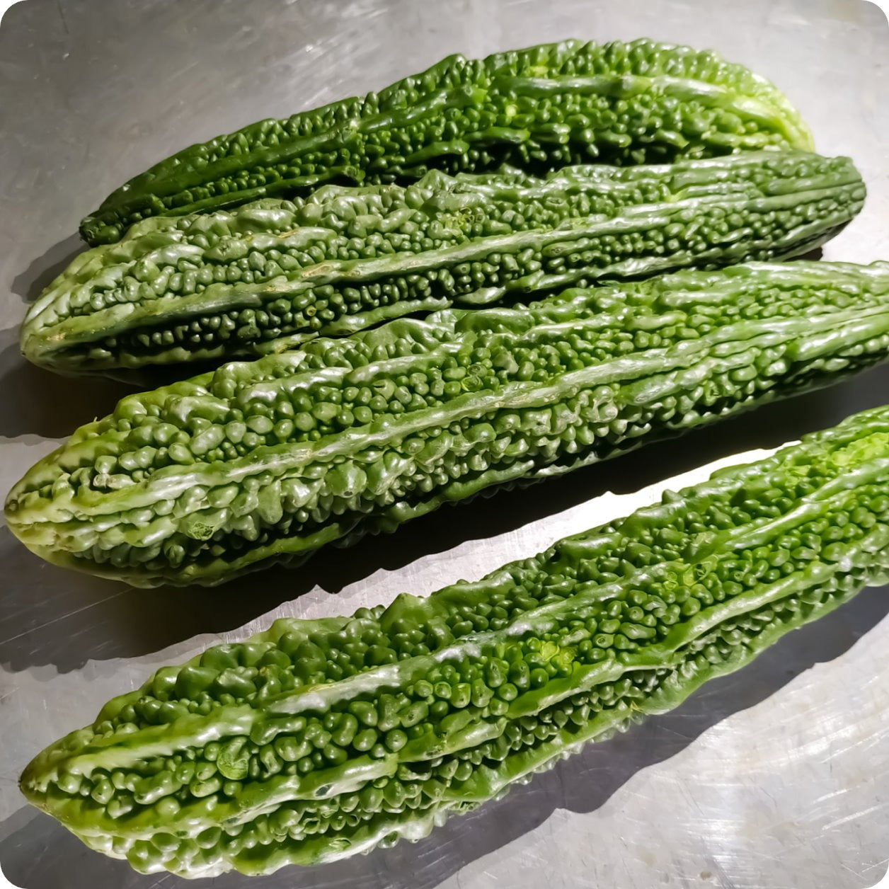Bittermelon-