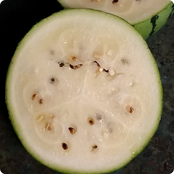 Melon Seeds - Cream of Saskatchewan Watermelon