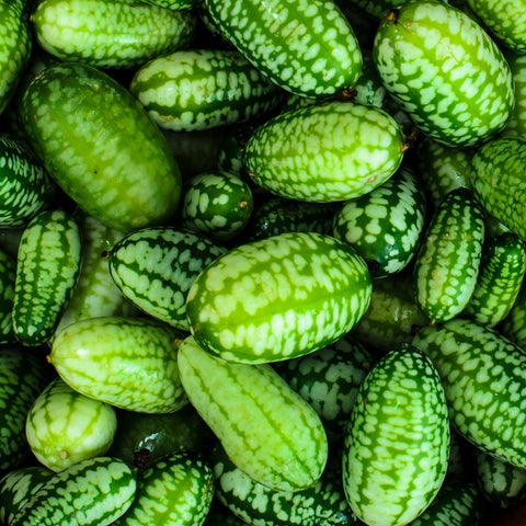 Cucamelon Seeds - Mexican Sour Gerkhin