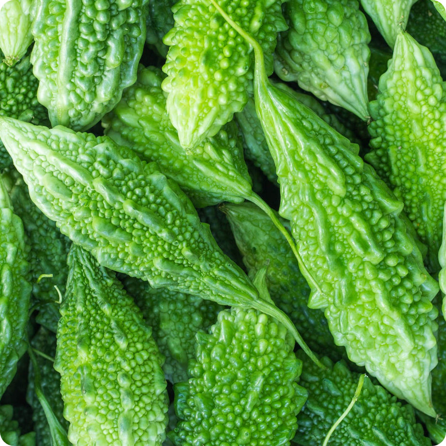 Bitter Melon – The Incredible Seed Company Ltd