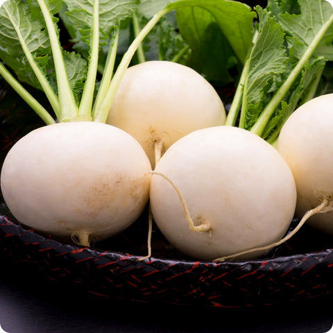 Kanamachi Turnip Seeds