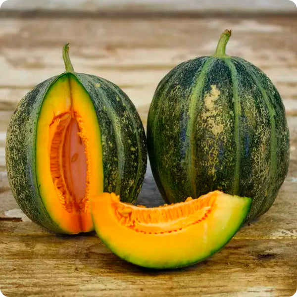 Melon Seeds - Emerald Gem