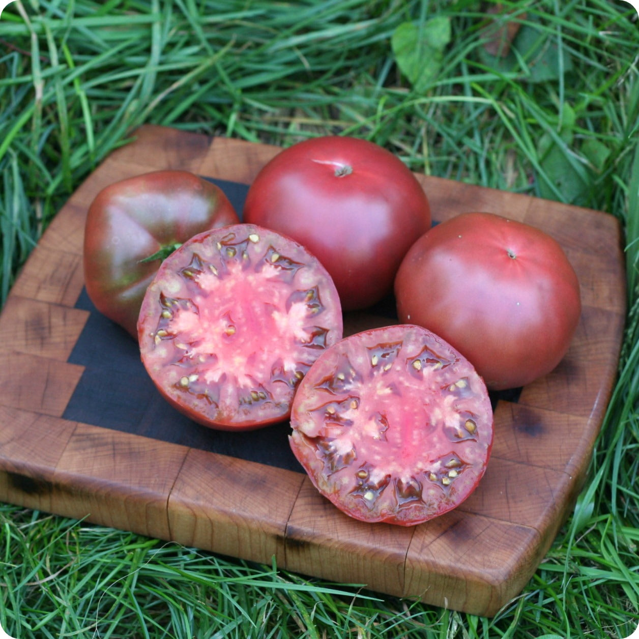 Black Brandywine Tomato Seeds – Heirloom Untreated NON-GMO From