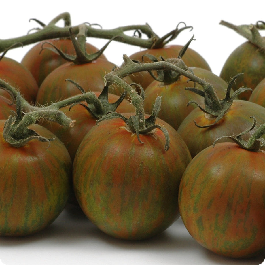 Heirloom Heritage Tomato Seeds Available from a Canadian Seed