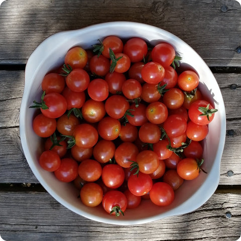 Sweet Aperitif - Cherry Tomato Seeds
