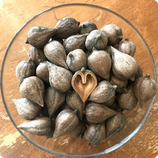 Heartnuts