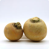 Turnip - Gold Ball
