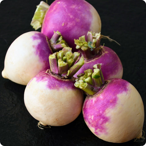 White Globe Purple Top Turnip Seeds